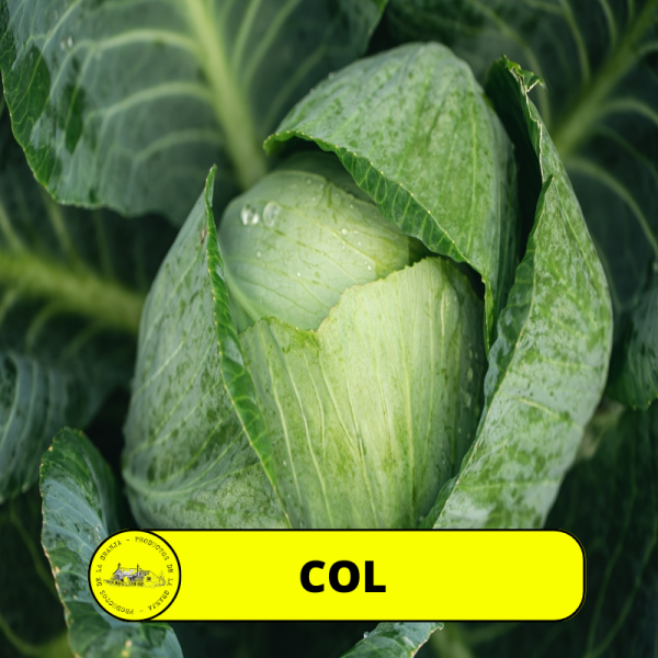 Col