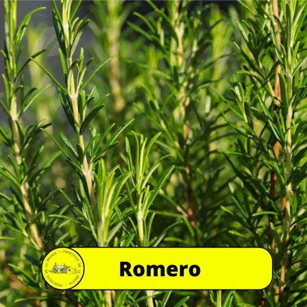 Romero