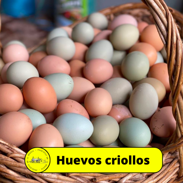 Huevos criollos